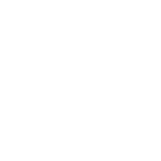 logo bianco salva